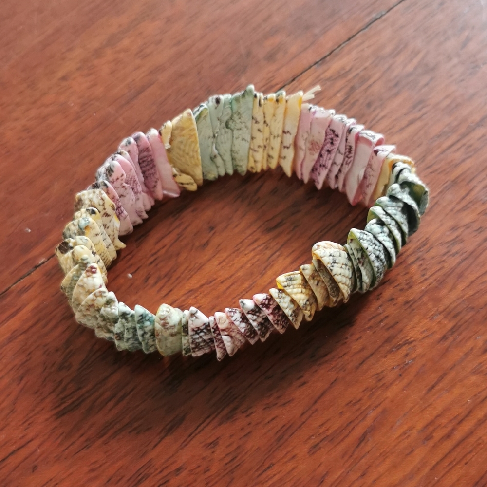 🎯3for$10🎯 Rainbow Shell bracelet